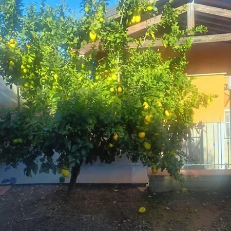 Casale Gabriella Esclusivo Con Patio * 卡波利韦里