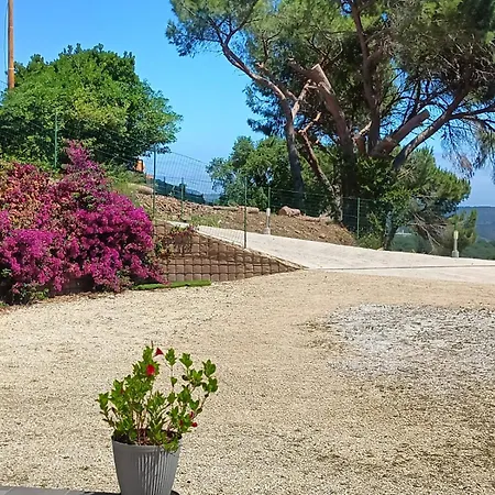 公寓 Casale Gabriella Esclusivo Con Patio