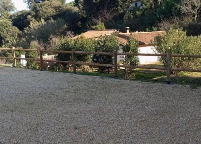 公寓 Casale Gabriella Esclusivo Con Patio 卡波利韦里