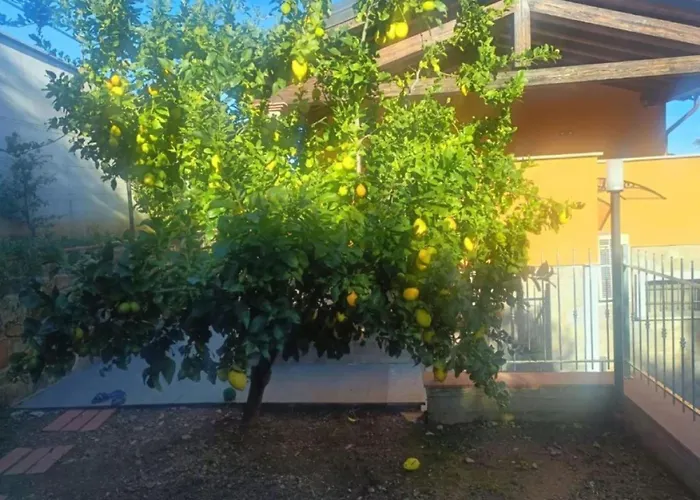 Casale Gabriella Esclusivo Con Patio * 卡波利韦里